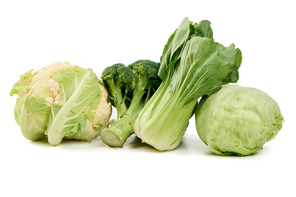 Packaging machine for iceberg, lettuce and broccoli